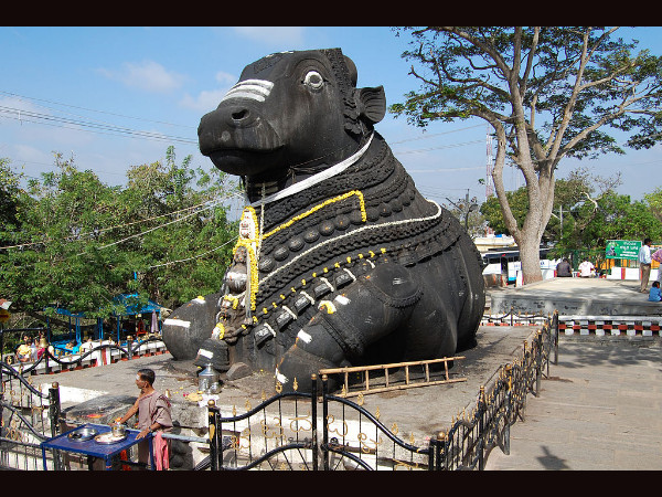 சிவனின் வாகனம் நந்தி