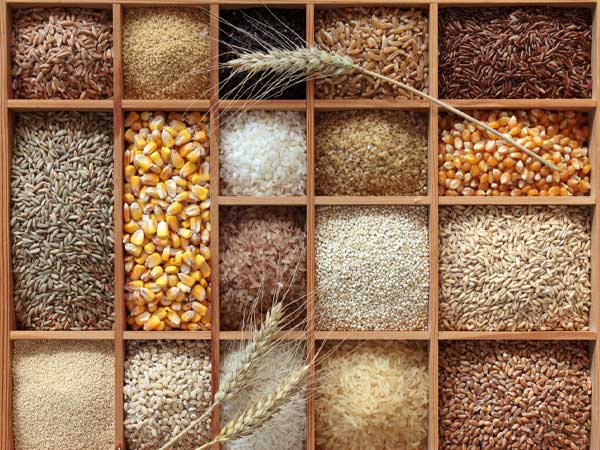 முழு தானியங்களைத் தேர்வு செய்யுங்கள்