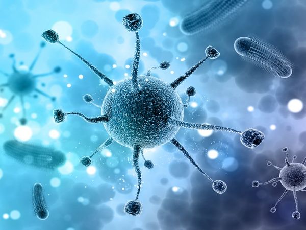 H1N1 - பன்றிக்காய்ச்சல்