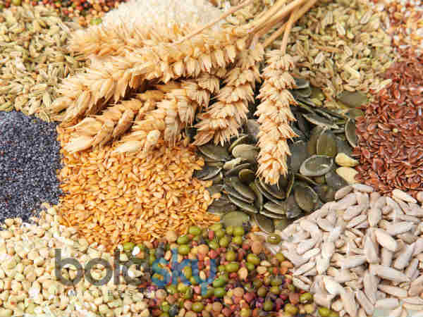 முழு தானியங்கள்
