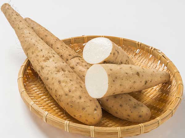 காட்டு சேனைக்கிழங்கு