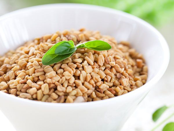 செல்வம் தரும் வெந்தயம்