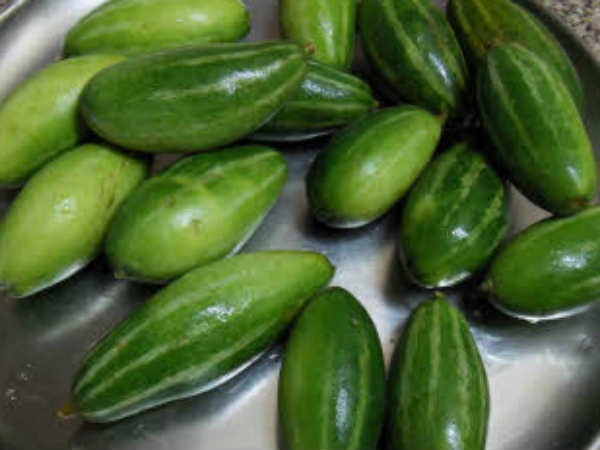 கோவைக்காய்