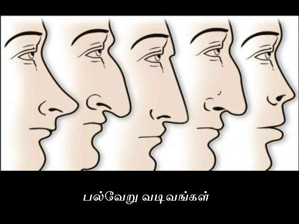 நீளமான மூக்கு
