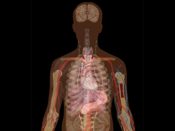 கடுமையான சுவாசக் கோளாறு நோய்க்குறி (Acute Respiratory Distress Syndrome)