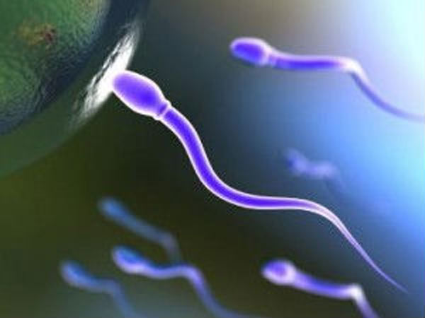 விந்தணுக்களின் ஆயுளை அதிகரிப்பது எப்படி?