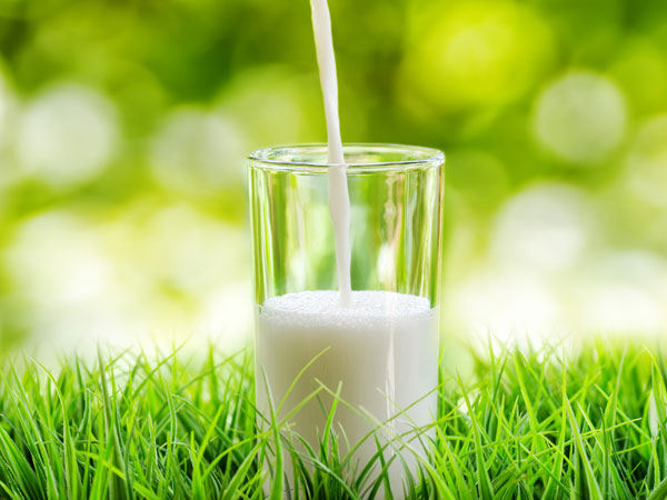 கொழுப்பு நீக்கப்பட்ட பால் (Skimmed Milk)
