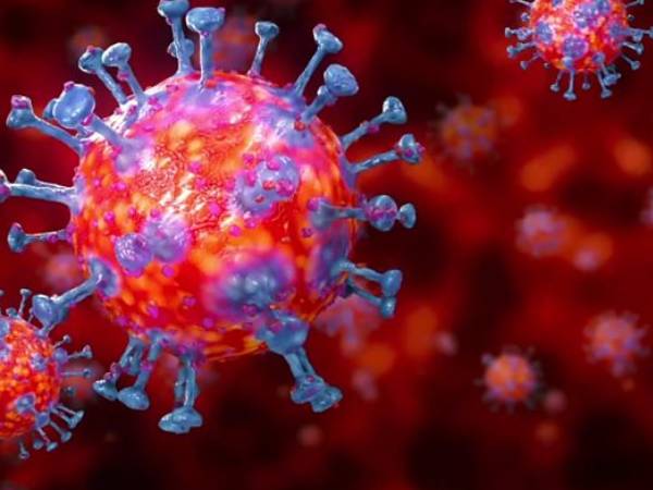 Severe Fever With Thrombocytopenia Syndrome அல்லது SFTS என்றால் என்ன?