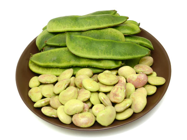 மொச்சைக்கொட்டை