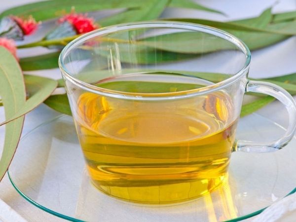 யூகலிப்டஸ் தேநீர்