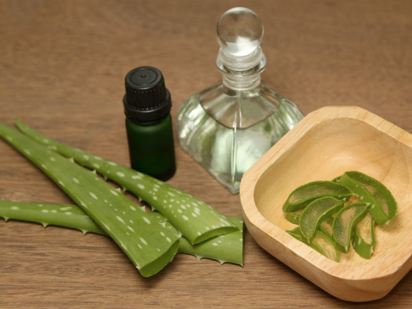 கற்றாழை, ஆலிவ் அயில்