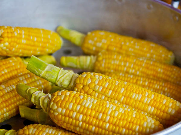 சோளம்