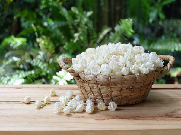 நவராத்திரியின் முதல் நாள் வழிபாடு