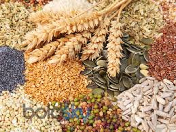 முழு தானியம்