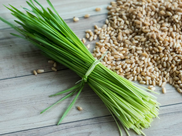 கோதுமை கிராஸ் உட்கொள்ள சரியான நேரம்