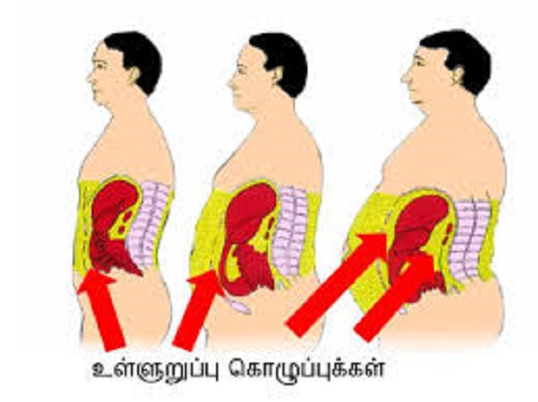 கொழுப்பைக் குறைக்க உதவும்