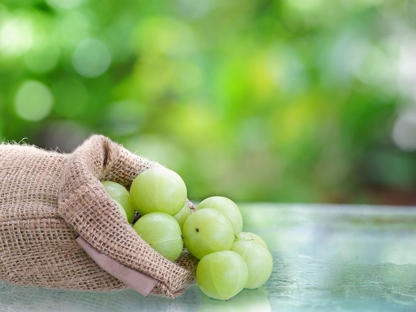 மற்றொரு ஆய்வு