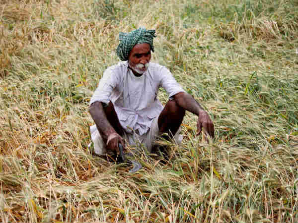15 ஏப்ரல் 2021: கங்கூர்