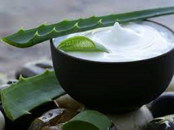 கற்றாழை ஹேர் கண்டிஷனர்