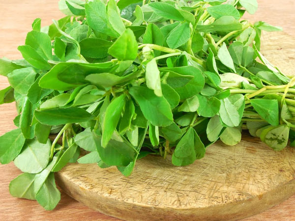 வெந்தய கீரை
