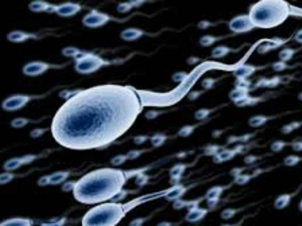 அதிக வெப்பம் விந்தணுவிற்கு ஆபத்து