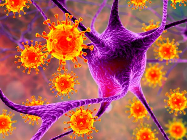 இந்தியாவின் தடுப்பூசி கொரோனா வைரஸின் புதிய வடிவங்களை எதிர்த்து போராடுமா? உண்மை என்ன?