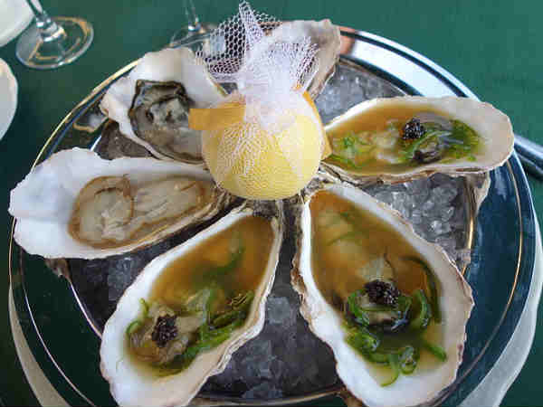 சிப்பிகள் (Oyster)