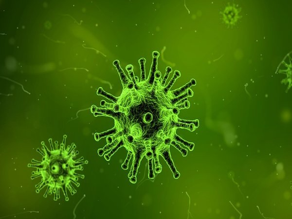 நோய்த்தொற்றின் அறிகுறிகளை எவ்வாறு கண்டறிவது?