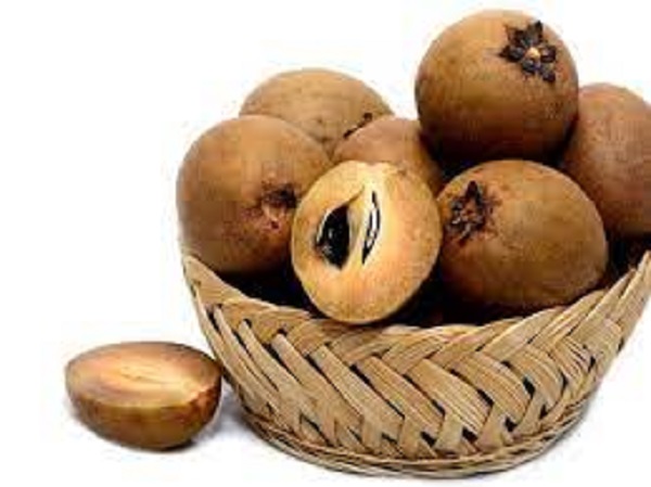 புற்றுநோயை தடுக்கிறது