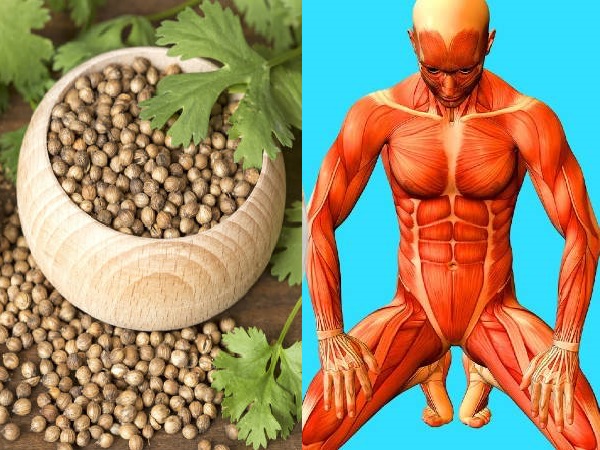 மல்லி விதை வைத்து செய்யும் இந்த பானம் உங்க உடலை இரும்பு போல மாற்றுமாம்...!