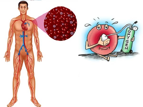 உங்க உடலின் ஆக்சிஜன் அளவை பராமரிக்க உதவும் இரத்த ஓட்டத்தை இந்த உணவுகள் மூலம் அதிகரிக்கலாம் தெரியுமா?