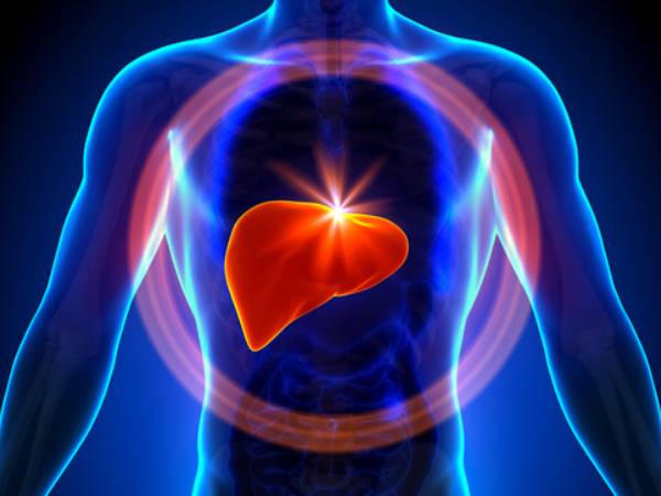 உங்கள் கல்லீரலை பாதுகாப்பாக வைத்திருக்க நீங்க சாப்பிட வேண்டிய சமையலறை பொருள் என்ன தெரியுமா?