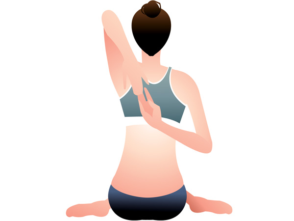 கோமுகாசனம் (Gomukhasana)