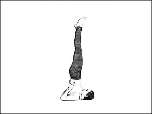 சர்வாங்காசனம் (Sarvangasana)