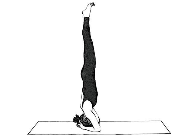 சிரசாசனம் (Shirsasana)