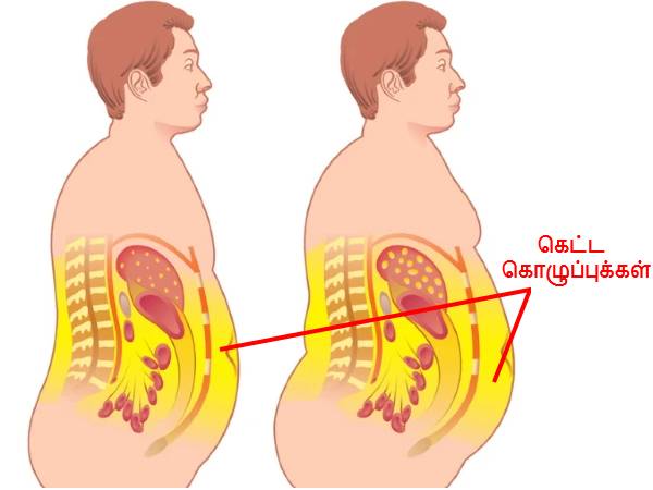 வயிற்றில் உள்ள கெட்ட கொழுப்புக்களைக் கரைக்கணுமா? அப்ப 'இத' காலையில வெறும் வயித்துல குடிங்க...