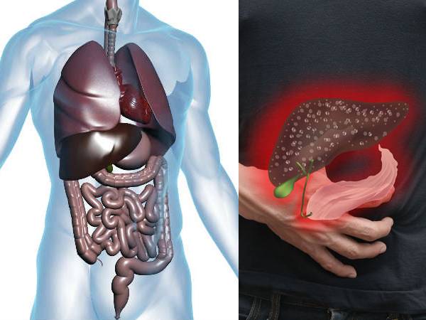 உங்க இதயம் மற்றும் கல்லிரல் ஆரோக்கியமாக இருக்கவும் எடையை குறைக்கவும்... இந்த ஒரு ஜூஸ் போதுமாம்...!