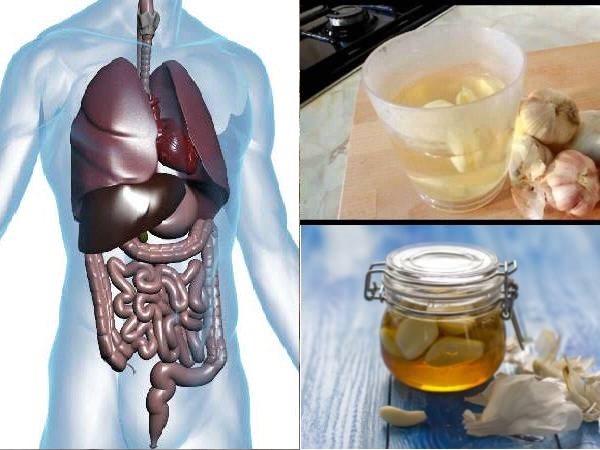 பூண்டின் அதிகபட்ச நன்மைகளை பெற தினமும் காலையில் அதை எப்படி சாப்பிடணும் தெரியுமா?