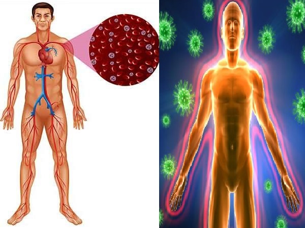 இந்த இரும்புச்சத்து உணவுகள் நோயெதிர்ப்பு சக்தியை அதிகரித்து கோவிட்-19 லிருந்து உங்கள பாதுகாக்குமா?