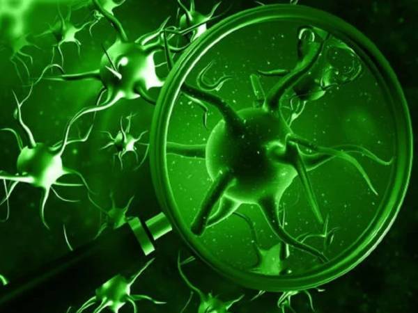 கொரோனாவில் இருந்து மீண்டவர்களைத் தாக்கும் பச்சை பூஞ்சை தொற்று - ஆரம்ப அறிகுறிகள் என்ன? தடுப்பது எப்படி?