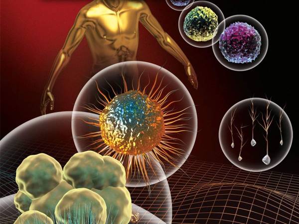 ஸ்டெம் செல் சிகிச்சை பற்றிய கட்டுக்கதைகள் மற்றும் உண்மைகள்!