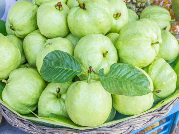 ஃபிளாவனாய்டுகளில் பணக்காரர்