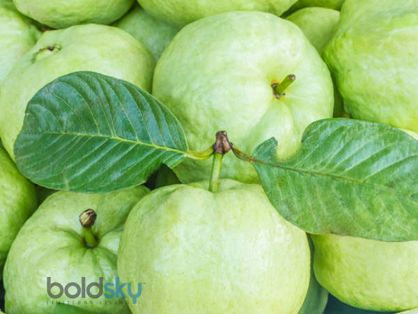 குளுக்கோஸின் உணவுக்குப் பிந்தைய உயர்வைக் குறைக்கவும்