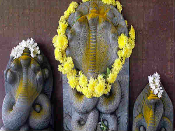 ரிஷபம் மற்றும் விருச்சிகம்
