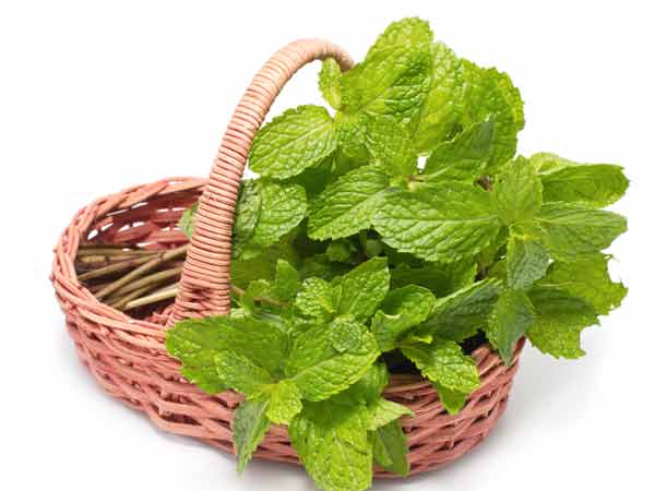 துளசி மற்றும் புதினா ஃபேஸ் பேக்