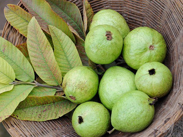 பாதுகாப்பான அளவு மற்றும் சரியான நேரம்