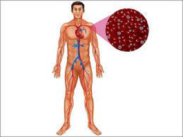 இந்த 'சத்து' உடலில் அதிகமாக இருந்தால் மாரடைப்பு & சர்க்கரை நோய் போன்ற ஆபத்தான நோய்கள் ஏற்படுமாம்!