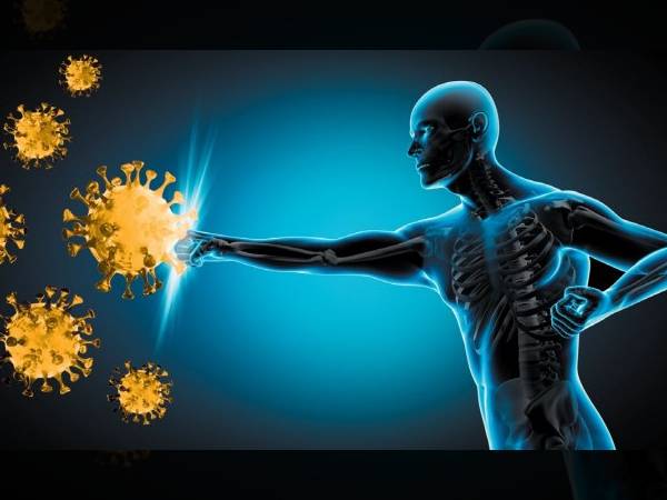 நோயெதிர்ப்பு சக்தியை பலமடங்கு அதிகரிக்க ஆயுர்வேதம் சாப்பிட சொல்லும் எளிய உணவுகள் என்னென்ன தெரியுமா?