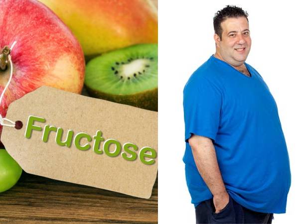 உடல் பருமன் அதிகாிப்பதற்கு பழச் சா்க்கரை எவ்வாறு காரணமாக இருக்கிறது?