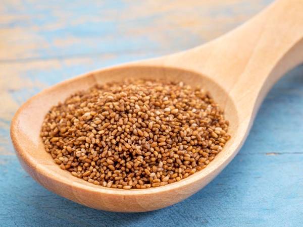 இந்த சிறு தானியத்தை கஞ்சி வெச்சு அடிக்கடி குடிச்சா.. சர்க்கரை நோய், எலும்பு பிரச்சனைகள் வராதாம்...